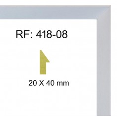 White moulding 20 x40 mm