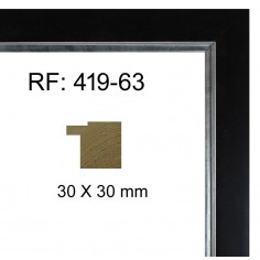 Silver and Black moulding...