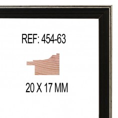 Black and Silver moulding...