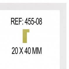 Moldura Blanco 20 x 40 mm