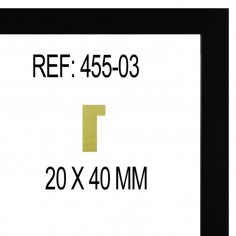 Moldura Negro 20 x 40 mm