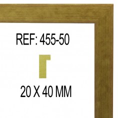 Gold moulding 20 x 40 mm