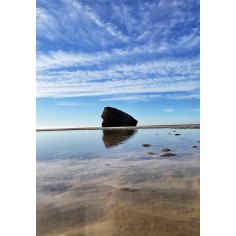 Natura Collection Paintings...