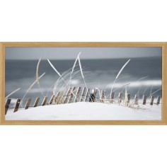 Decoposter | Framed...