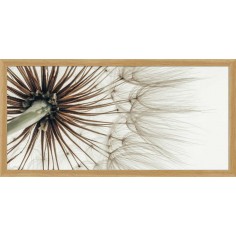 DECOPOSTER -POSTER...