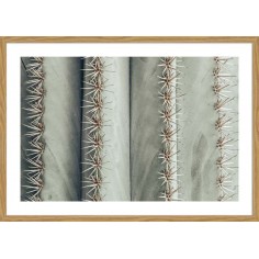 DECOPOSTER -POSTER...