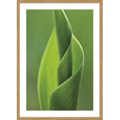 DECOPOSTER -POSTER...