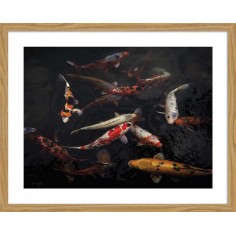 DECOPOSTER -POSTER...