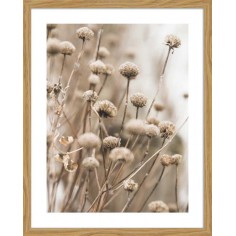 DECOPOSTER -POSTER...