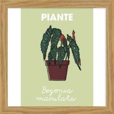 Decoposter | Framed...