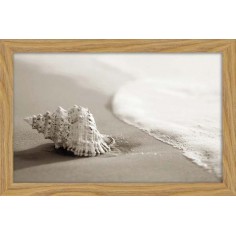 DECOPOSTER -POSTER...