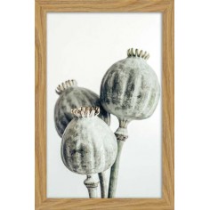 DECOPOSTER -POSTER...