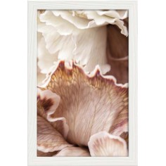 DECOPOSTER -POSTER...