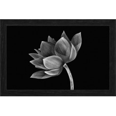 DECOPOSTER -POSTER...