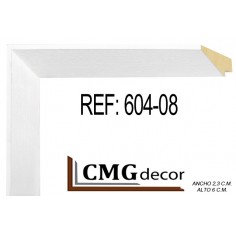 White Molding 20x60 mm